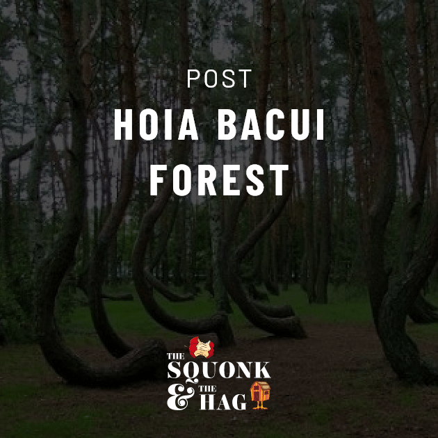 Post: Hoia Baicu Forest